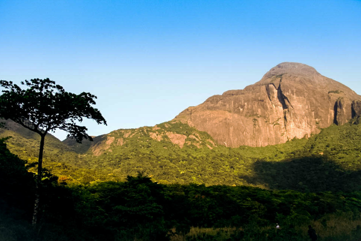 Agasthyakoodam Region